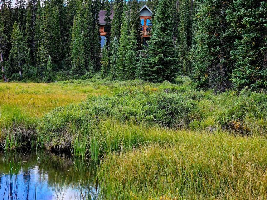 Moose Mtn Lodge/luxury Cabin/hot Tub/fireplace Fairplay