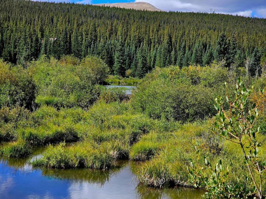 Holiday home Moose Mtn Lodge/luxury Cabin/hot Tub/fireplace *
